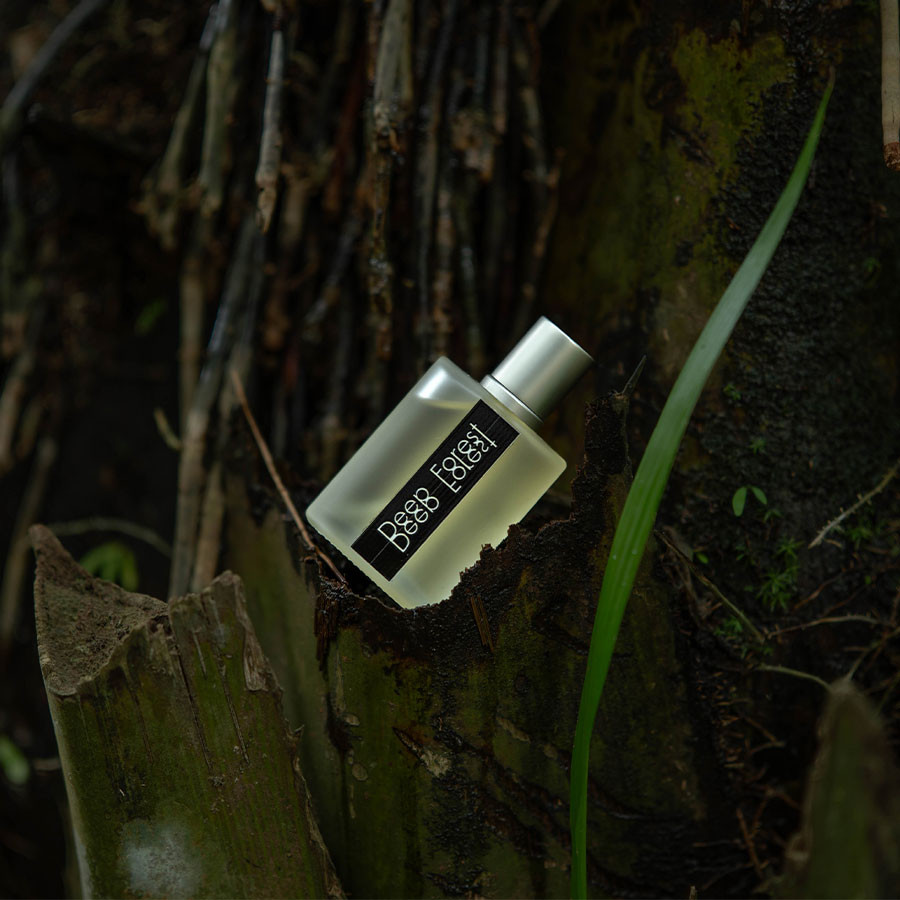Deep Forest | Nature Inspired Freshness By Mahnoors Perfume